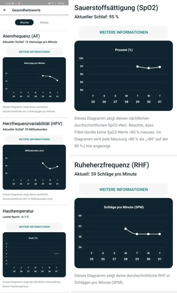 Fitbit Gesundheit Messwerte
