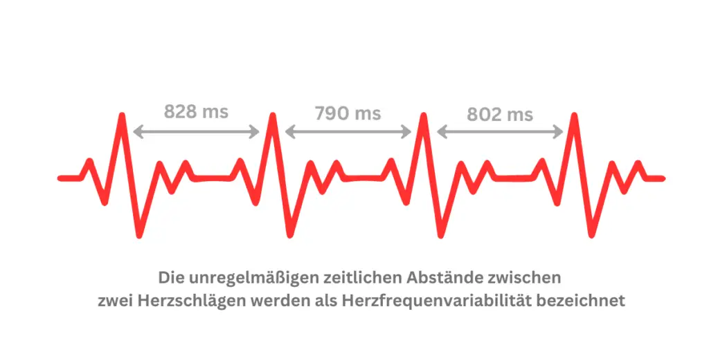 Graphische Darstellung der Herzfrequenzvariabilität